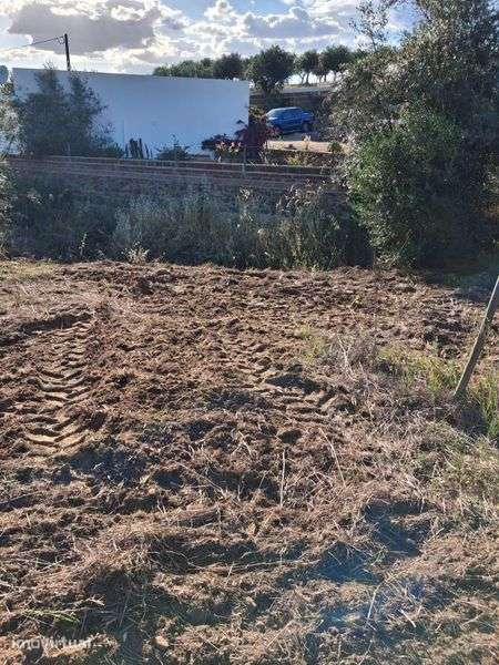 Terreno Agrícola em São Pedro do Corval - Grande imagem: 2/6