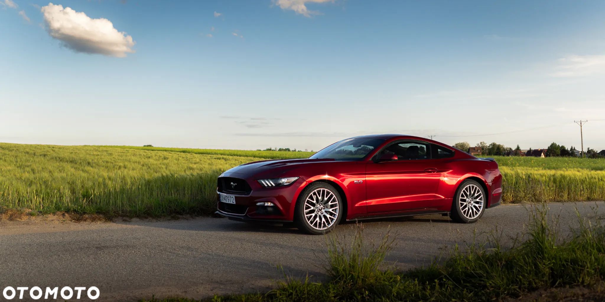 Ford Mustang 5.0 V8 GT - 1