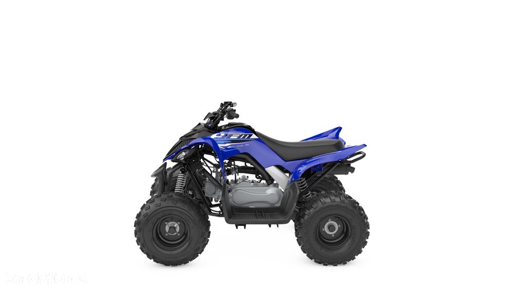 Yamaha Raptor - 7