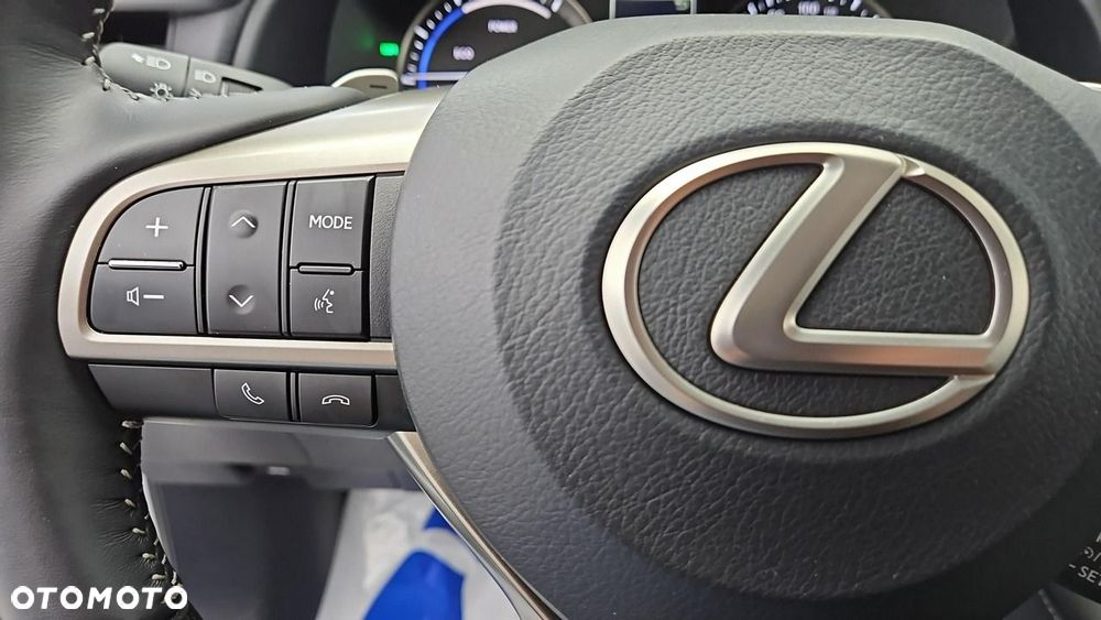 Lexus RX 450h F-Impression - 17