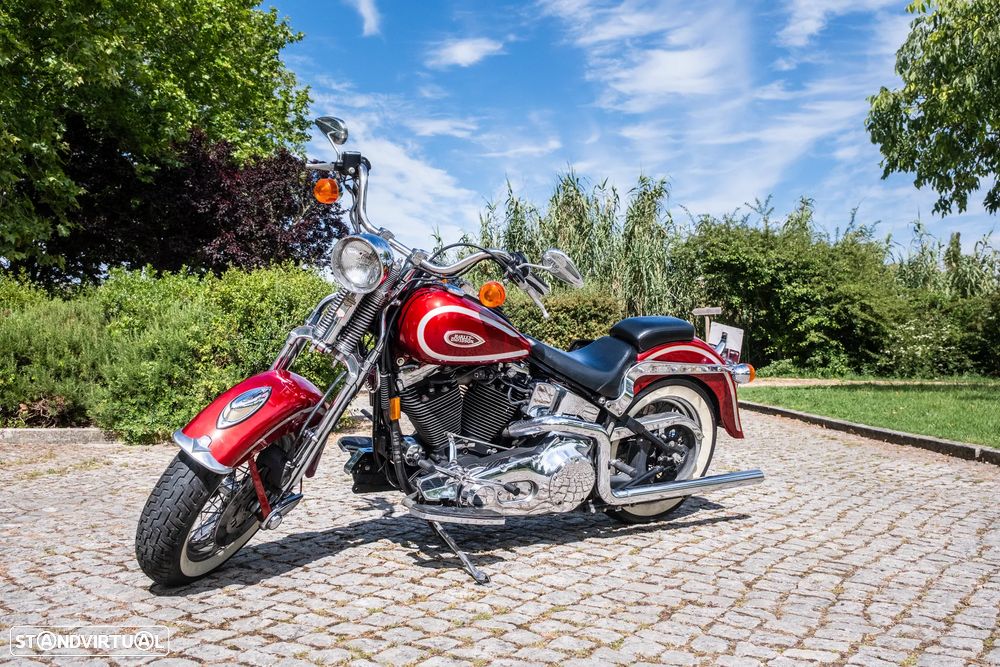 Harley-Davidson FLSTS Heritage Springer (Old Boy - Motor Evolution) - 1