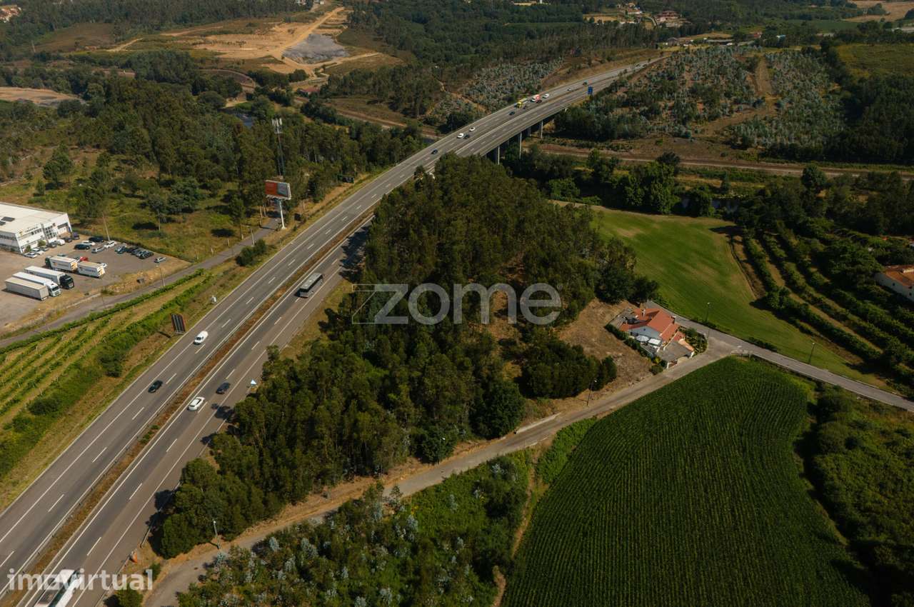 Terreno Florestal em Santo Tirso - Grande imagem: 3/7