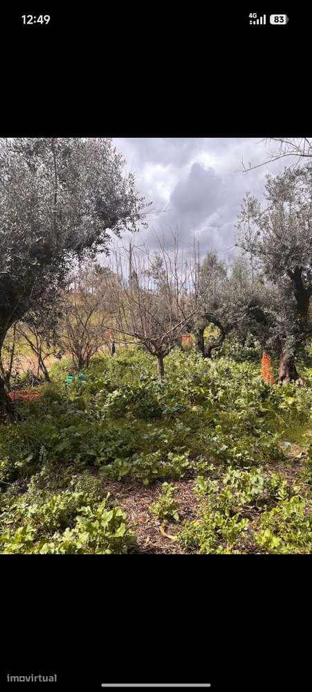 Casa de aldeia para restaurar - Grande imagem: 4/26