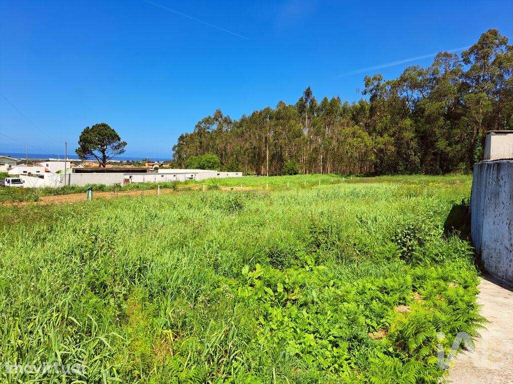 Terreno Agrícola em Esmoriz - Grande imagem: 2/5