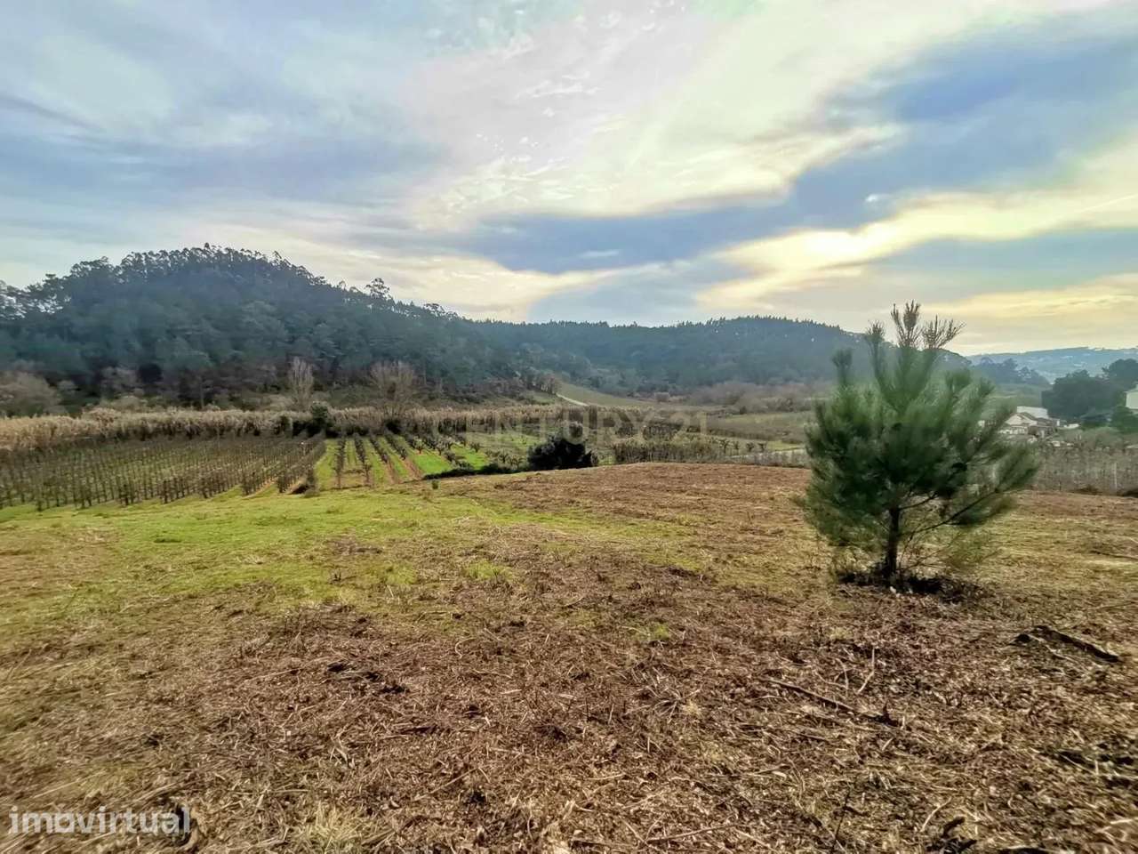 Terreno Urbano em Alfeizerão, Alcobaça - Grande imagem: 5/11