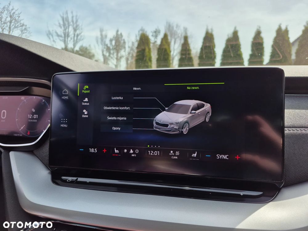 Skoda Octavia 2.0 TSI 4x4 Style DSG - 19