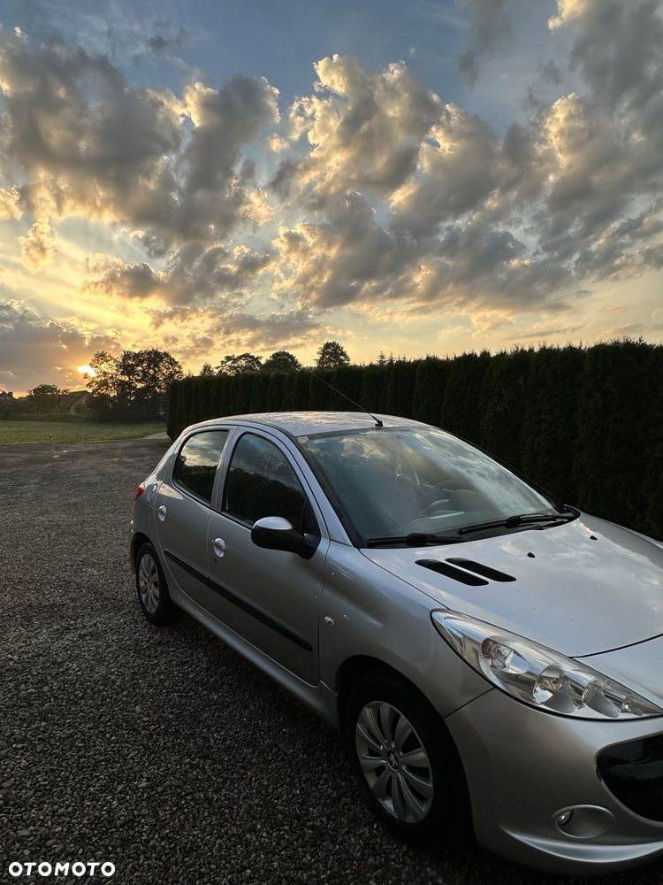 Peugeot 206 plus - 4