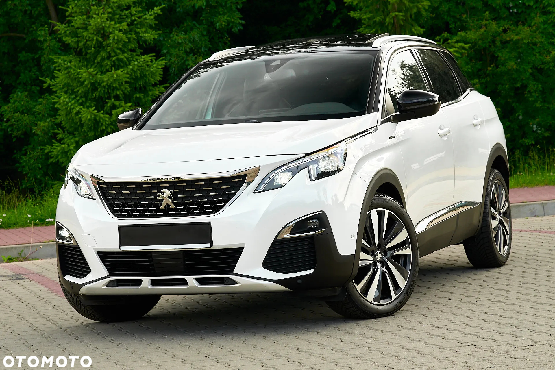 Peugeot 3008 1.5 BlueHDi GT S&S - 17