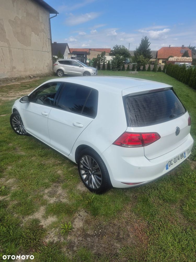 Volkswagen Golf - 14