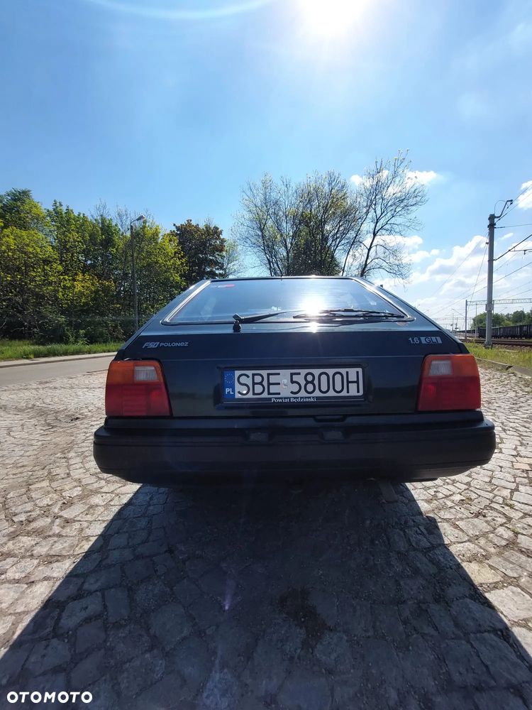 Polonez Caro - 6