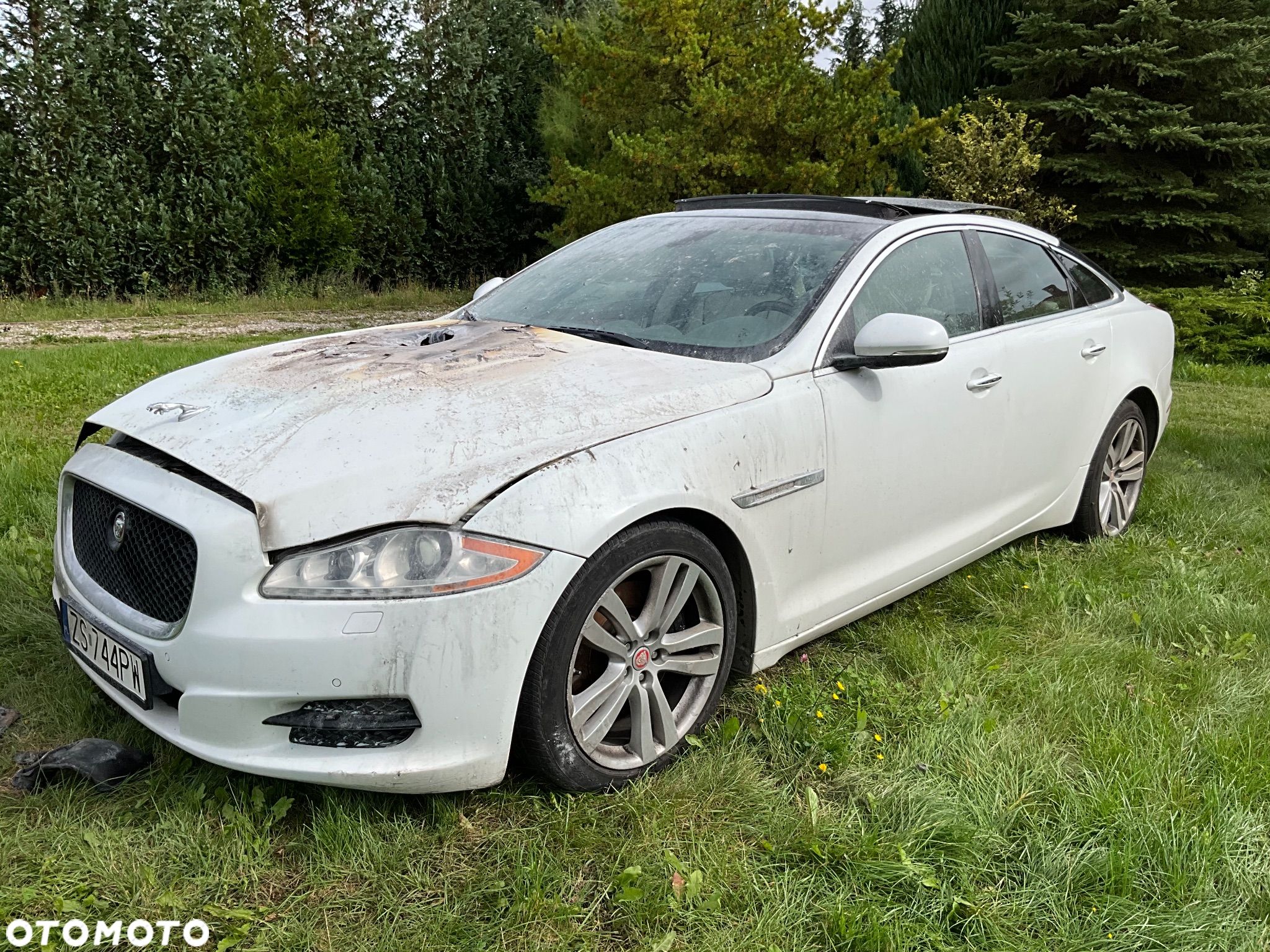 Jaguar XJ 3.0 T Portfolio - 1
