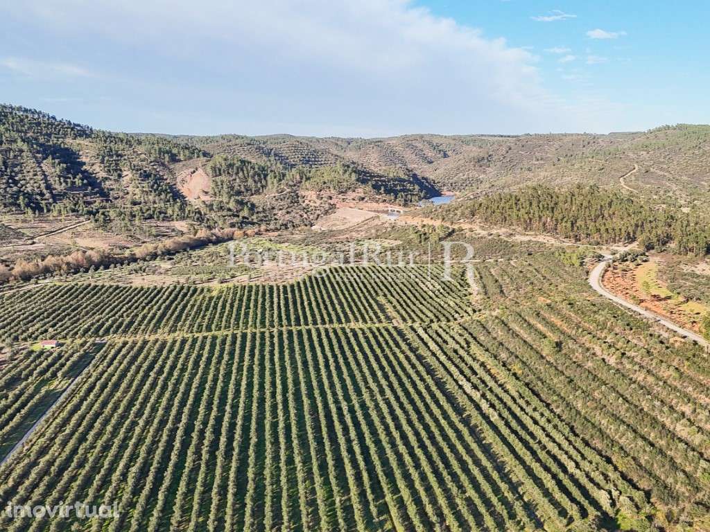 Herdade de regadio com 160 ha em Vila Velha de Ródão - Grande imagem: 2/60