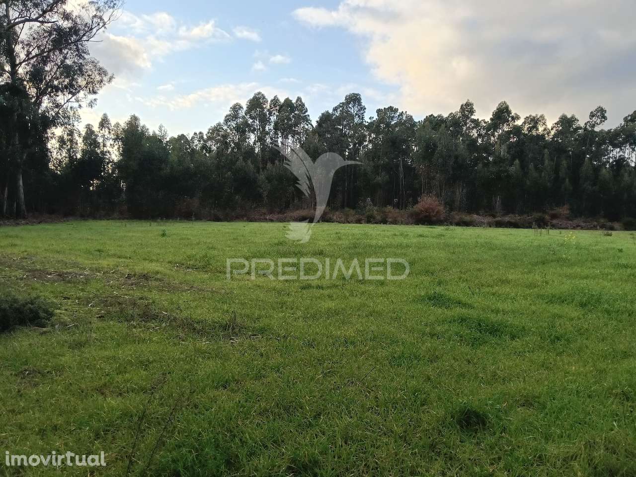 Terrenos à Venda em Santa Catarina, Vagos - Grande imagem: 3/4