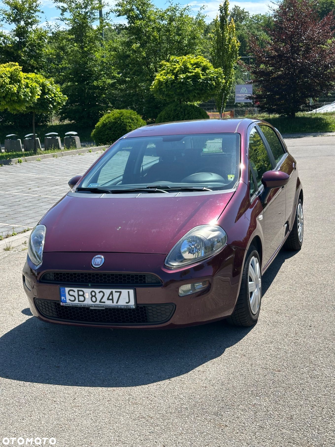 Fiat Punto - 1