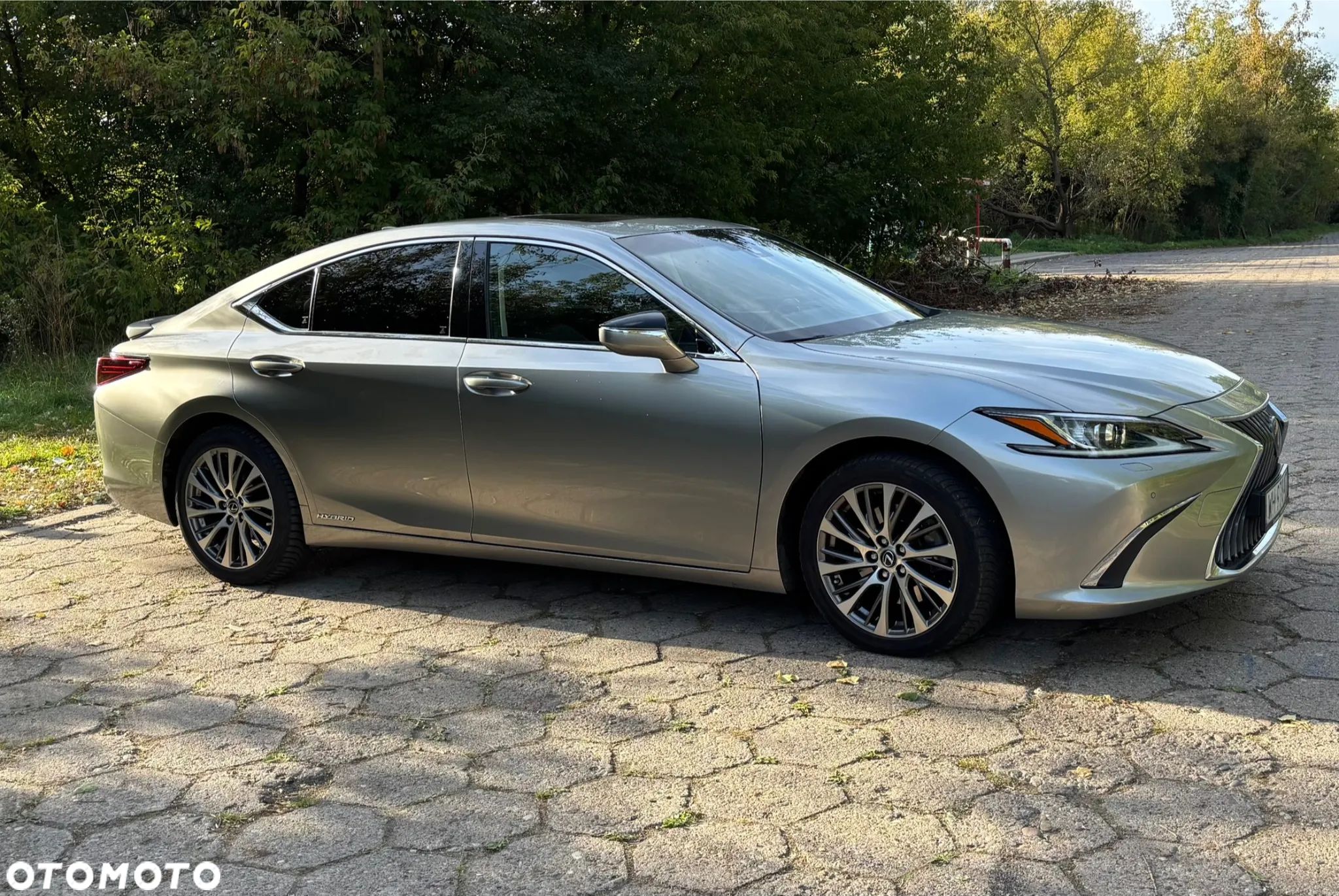 Lexus ES 300h Business Edition + - 1