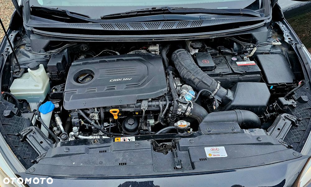 Kia Ceed - 6