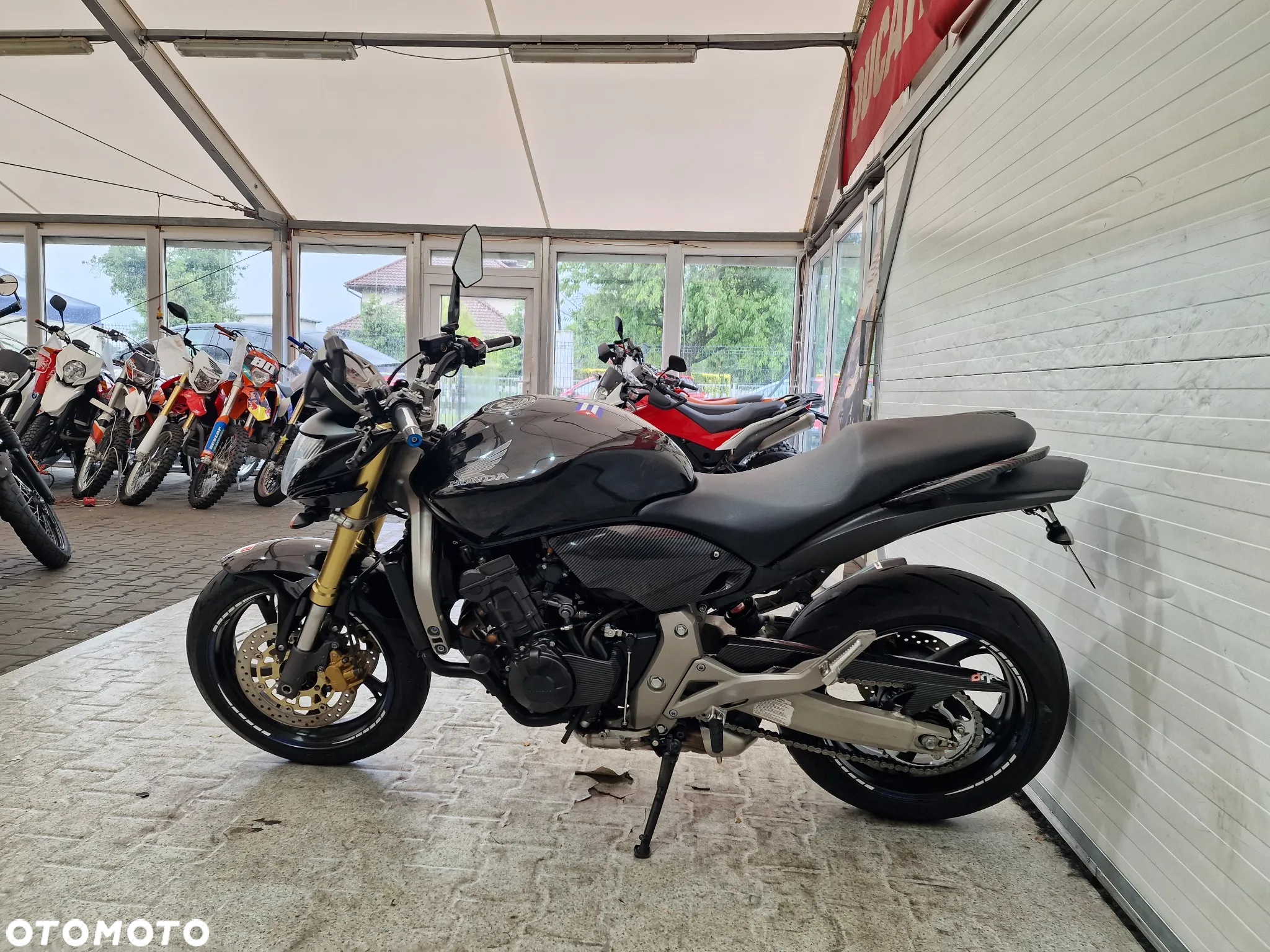 Honda Hornet - 20
