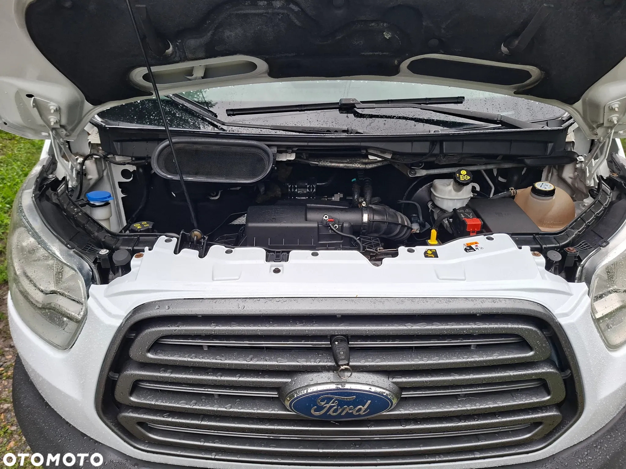 Ford Transit - 12