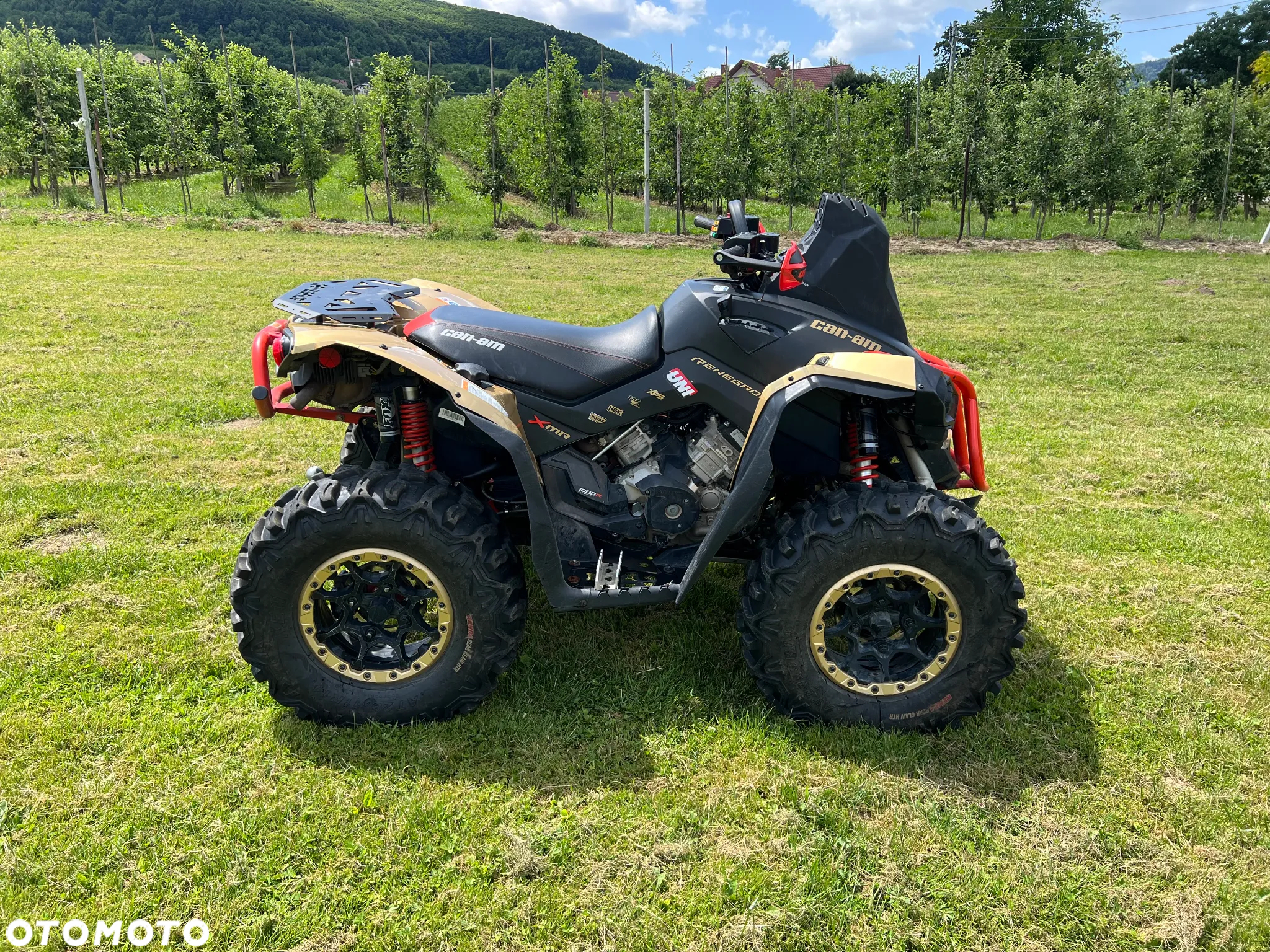 Can-Am Renegade