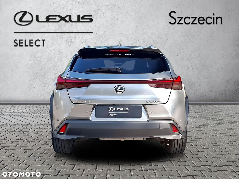 Lexus UX 300h Business - 4