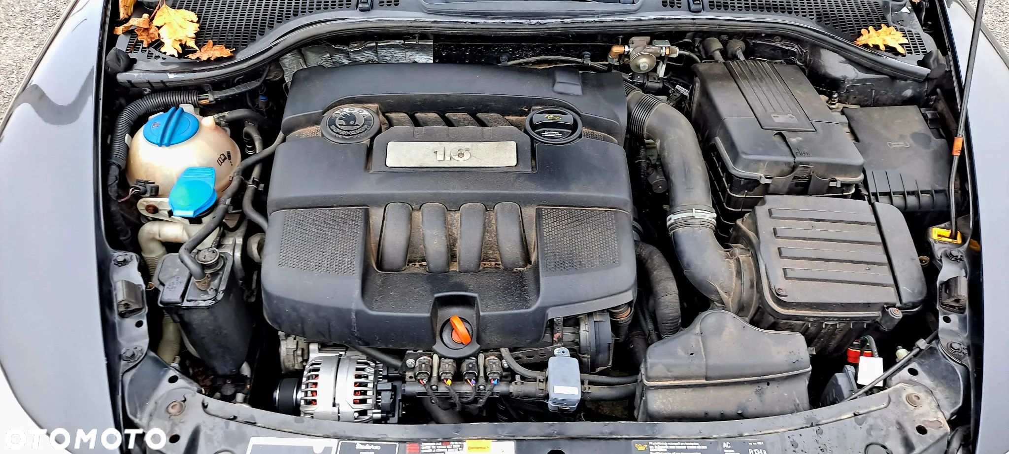 Skoda Octavia 1.6 Combi - 13