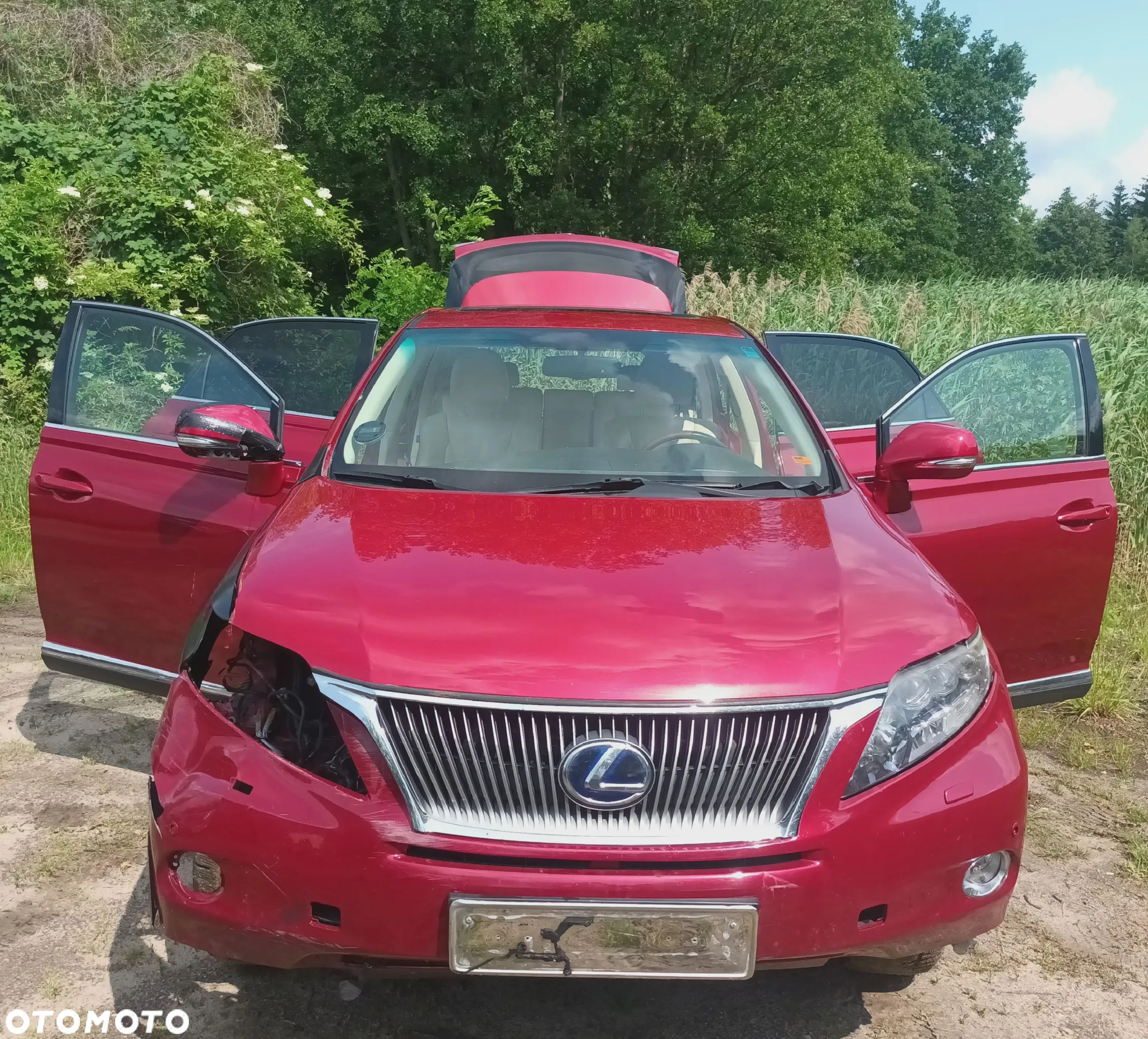 Lexus RX 450h (hybrid) Executive Line - 3