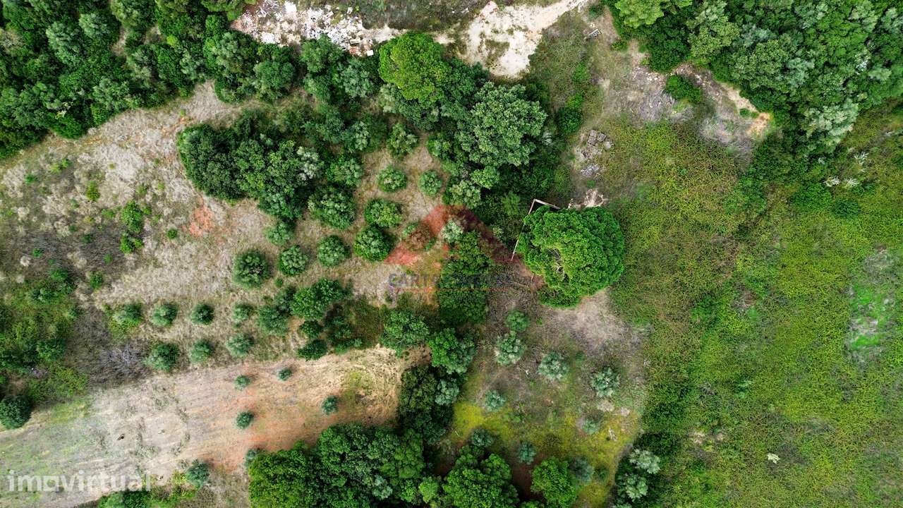 Terreno Rústico  Venda em Cartaxo e Vale da Pinta,Cartaxo - Grande imagem: 2/12