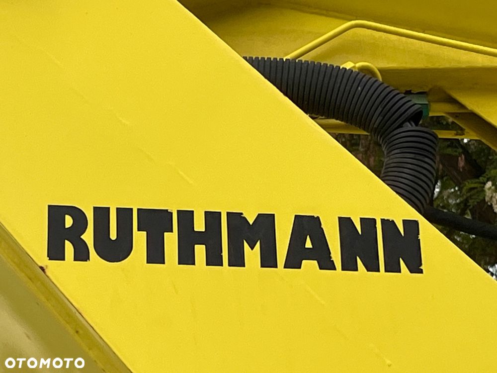 Mercedes-Benz SPRINTER 311 Ruthmann TL 180 - 10