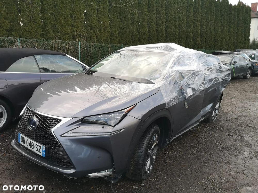 Lexus NX 300h E-FOUR Executive Line - 21