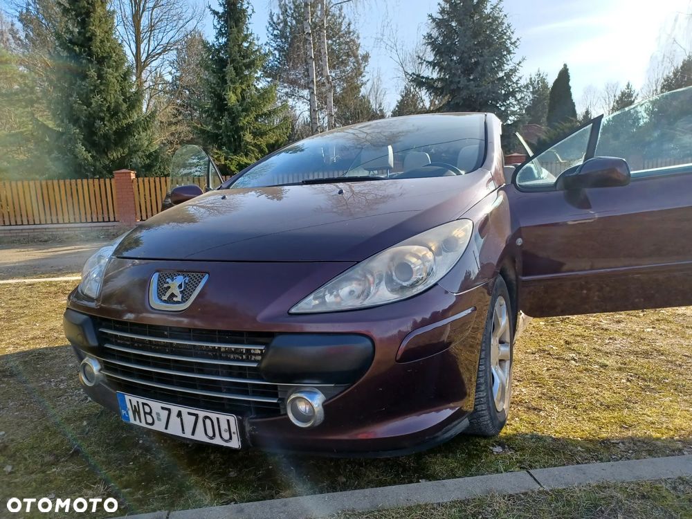 Peugeot 307 CC - 10