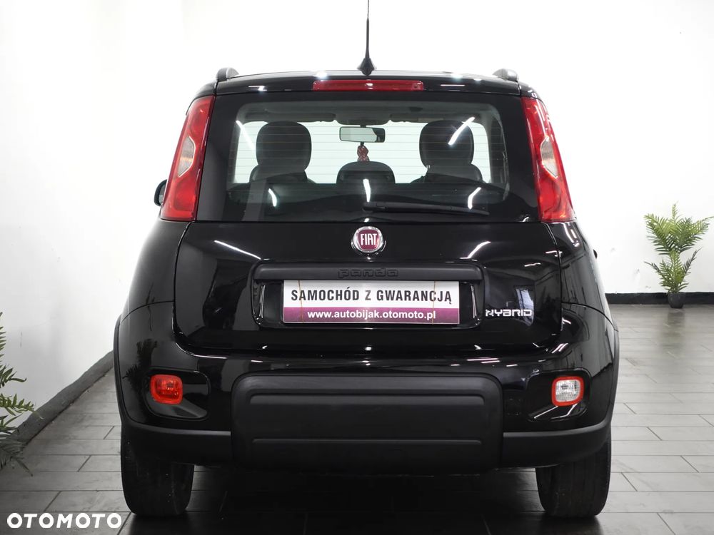 Fiat Panda - 7