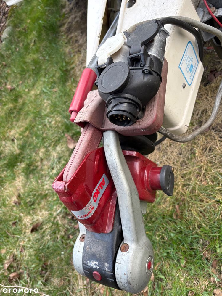 Bailey Pageant Majestic - 16