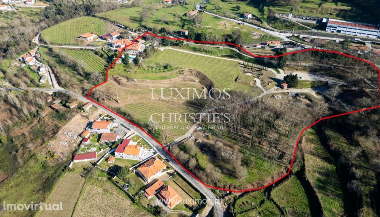 Quinta Vinícola V7 para venda em Felgueiras, Norte de Portugal - Grande imagem: 2/43