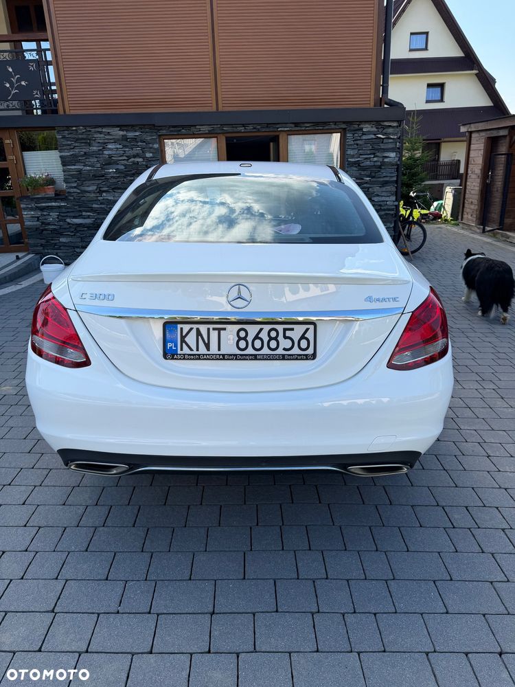 Mercedes-Benz Klasa C 300 9G-TRONIC Avantgarde - 15