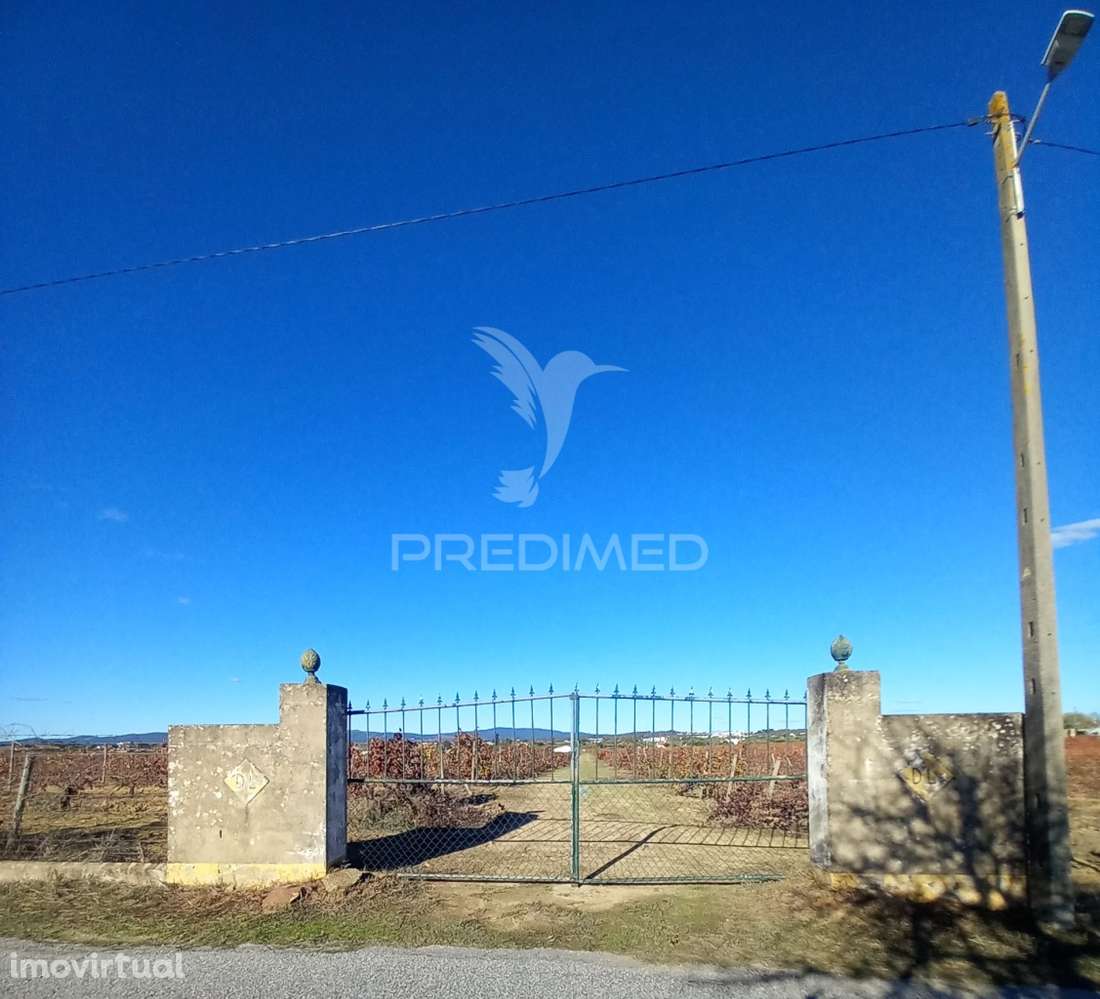 QUINTA AGRICOLA - Grande imagem: 2/11