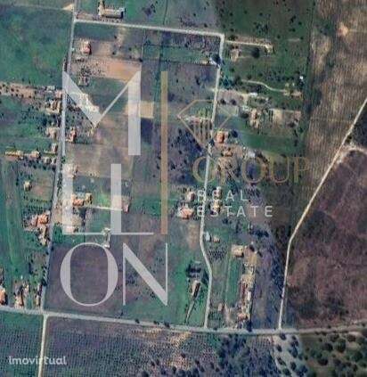 Lote de terreno com 5000m2 em Benavente. - Grande imagem: 2/2