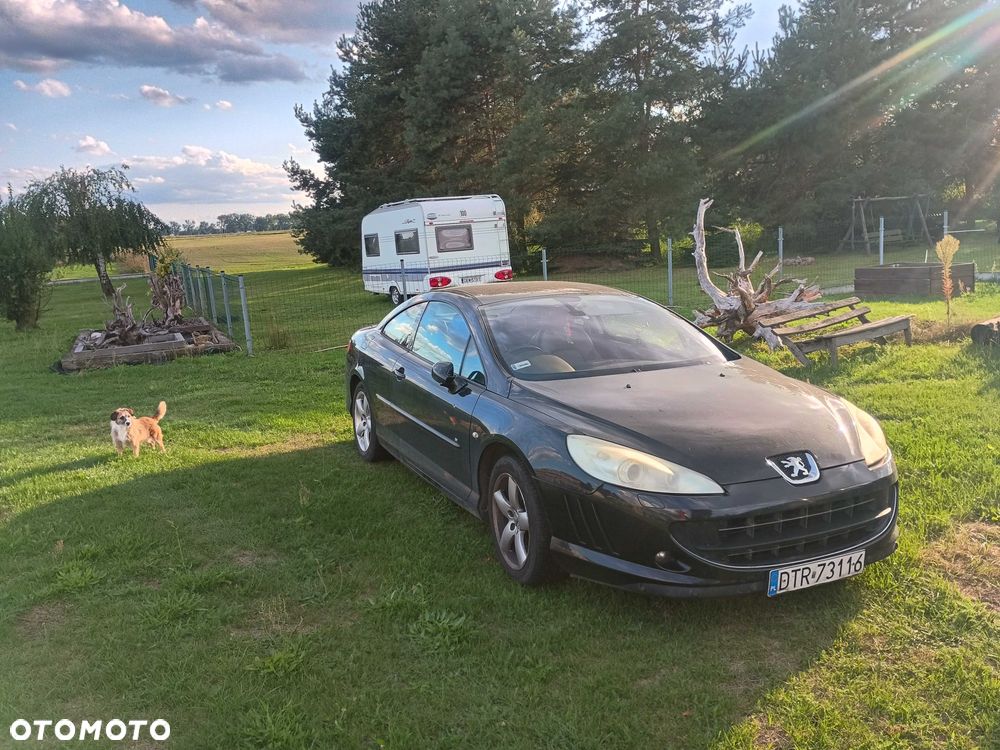 Peugeot 407 - 6