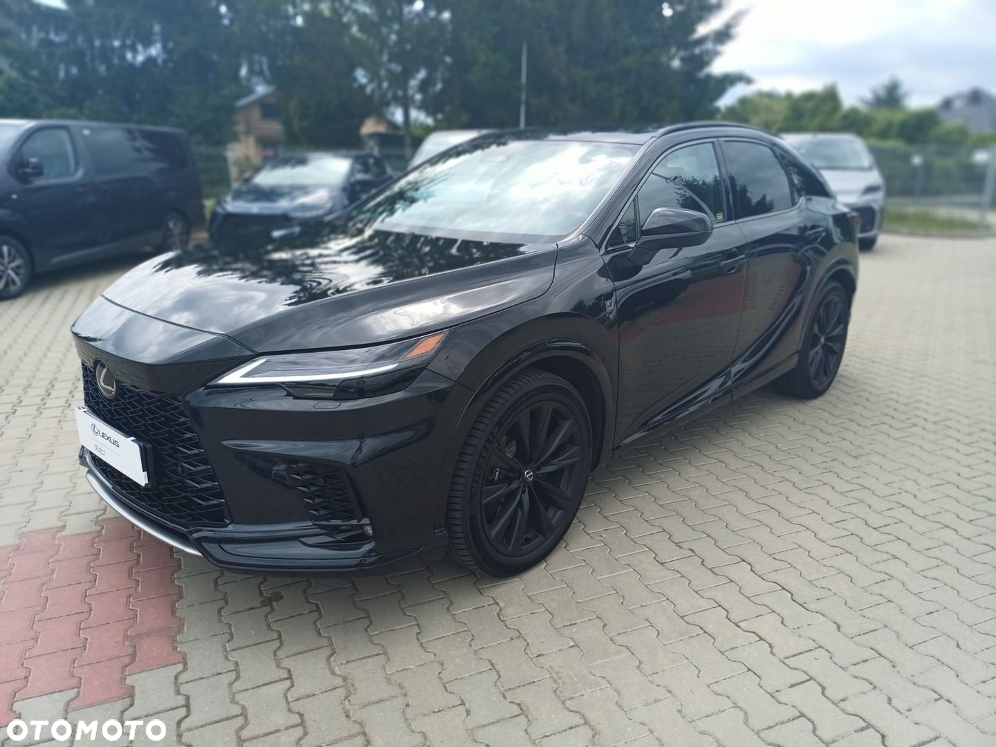Lexus RX - 22