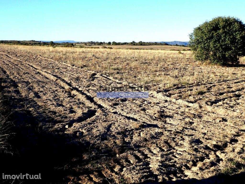 Propriedade plana, 17ha para plantações agrícolas. Portugal, Guarda... - Grande imagem: 3/5