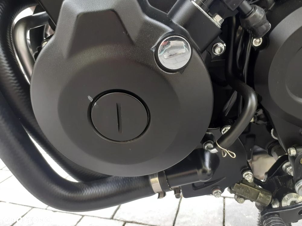 Benelli Leoncino - 19