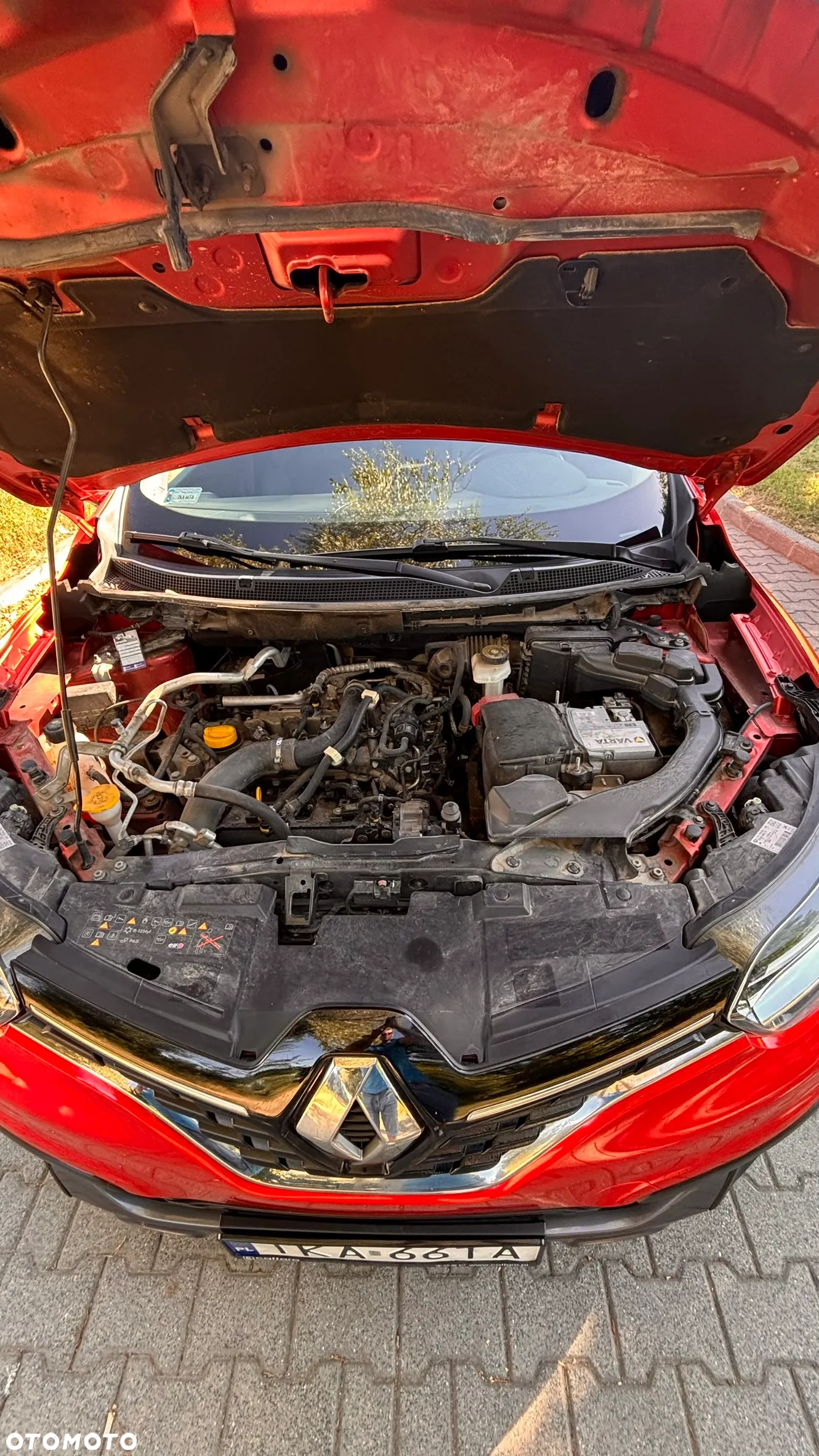 Renault Kadjar 1.2 Energy TCe Adventure EDC - 15