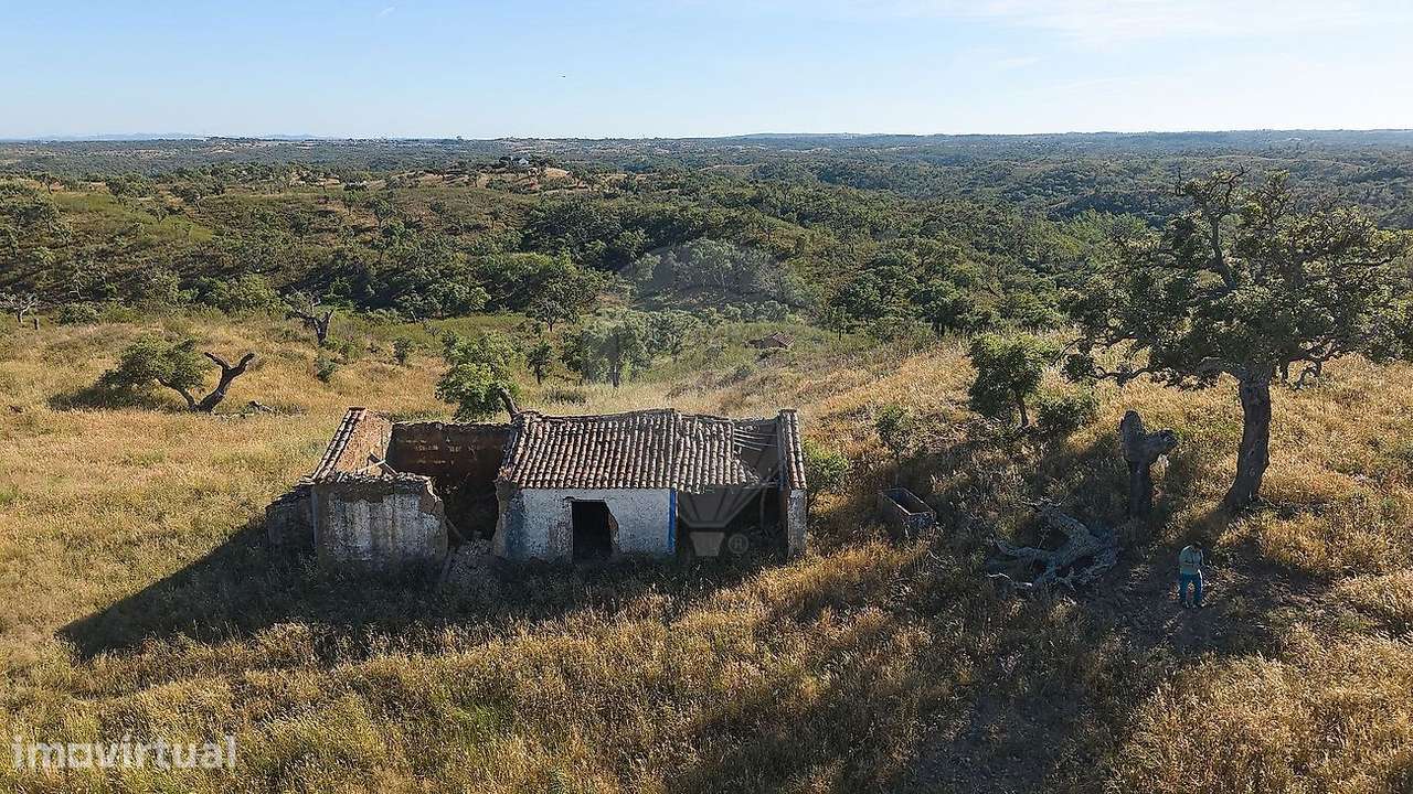 Quinta  para venda - Grande imagem: 3/6