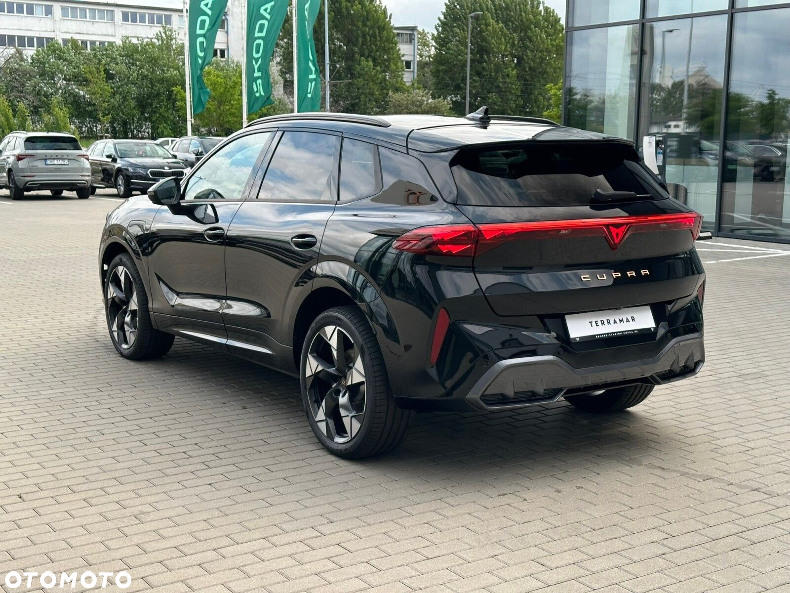 Cupra Terramar - 18