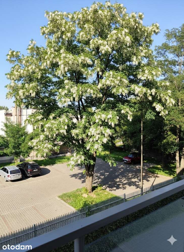 Żabiniec, ok. Nowego Kleparza, bezpośrednio, gratis: parking, internet