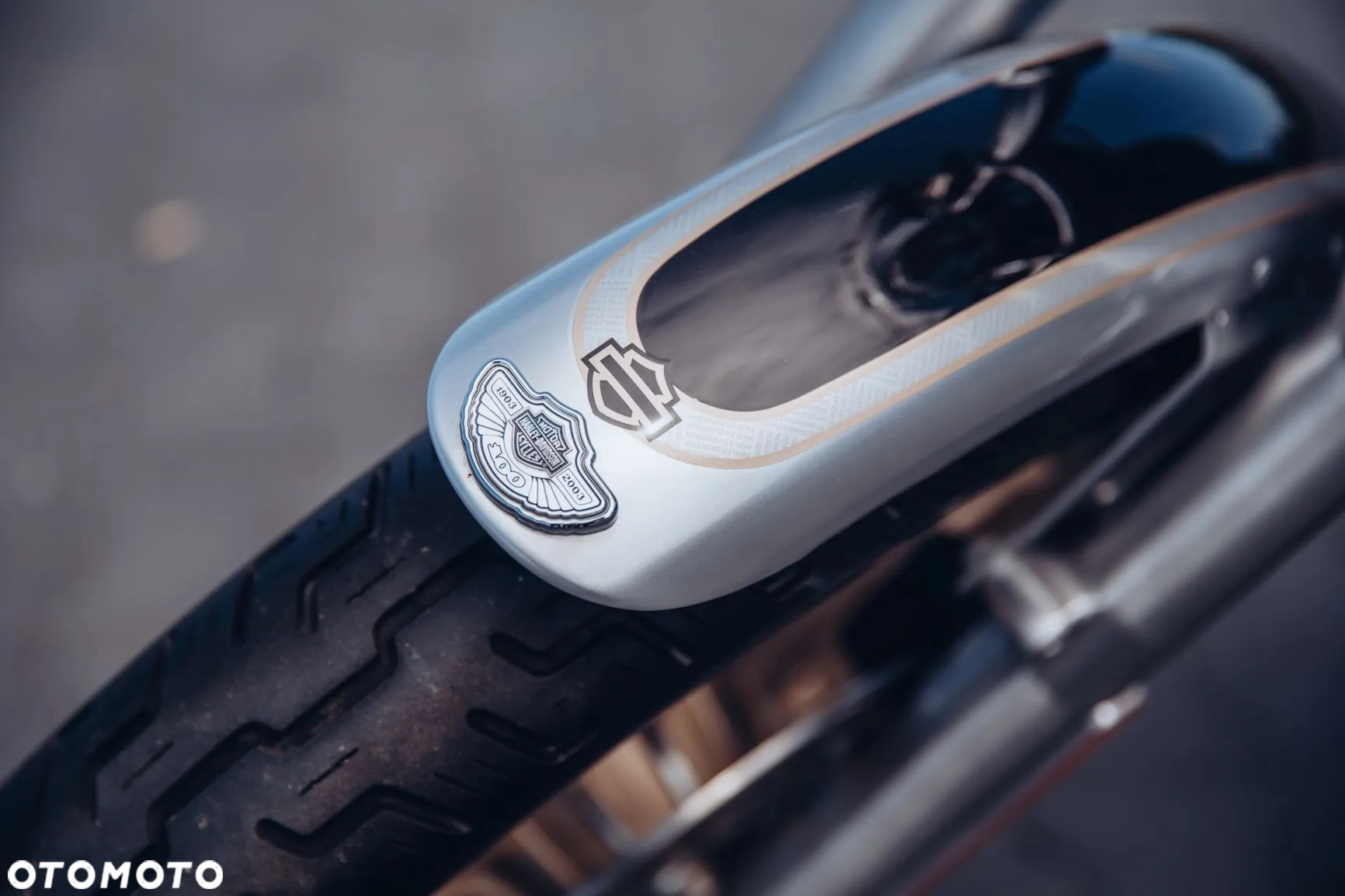 Harley-Davidson Dyna Low Rider - 3