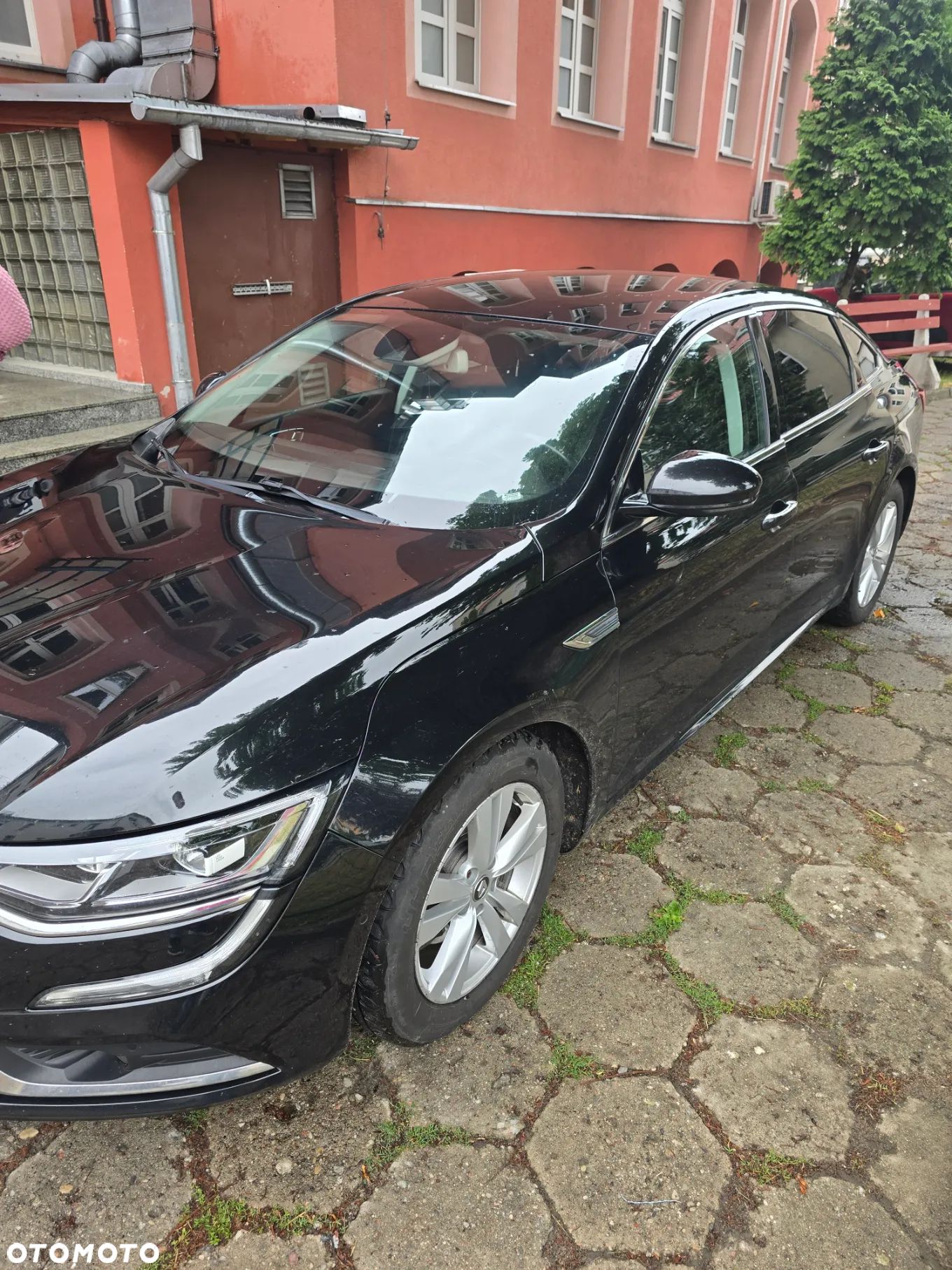 Renault Talisman 1.6 Energy dCi Business - 1
