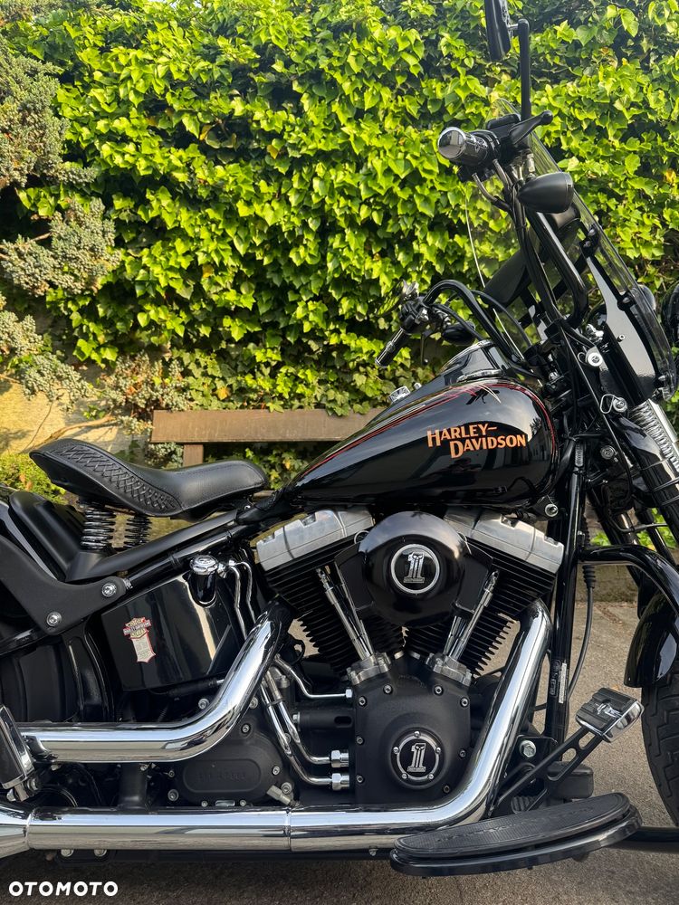 Harley-Davidson Softail Cross Bones - 8