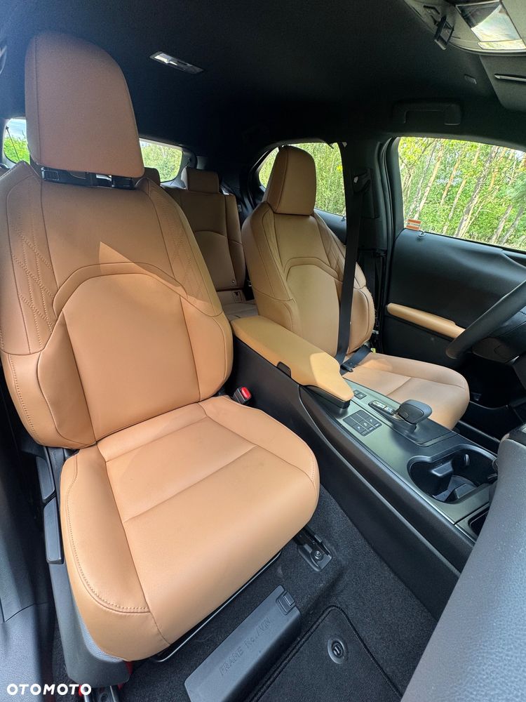 Lexus UX 300h F Sport AWD - 13