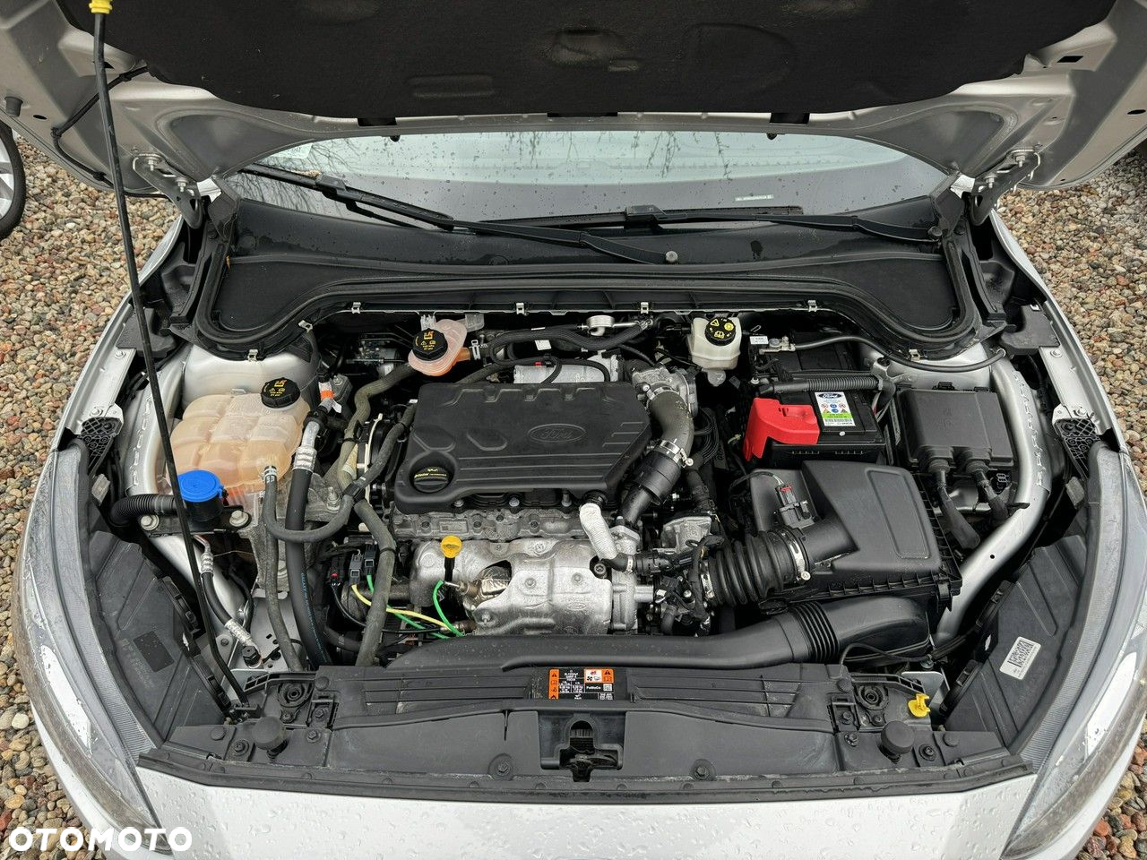 Ford Focus - 5
