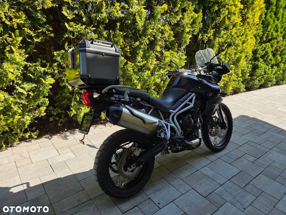 Triumph Tiger - 3
